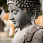 Domain name change guide