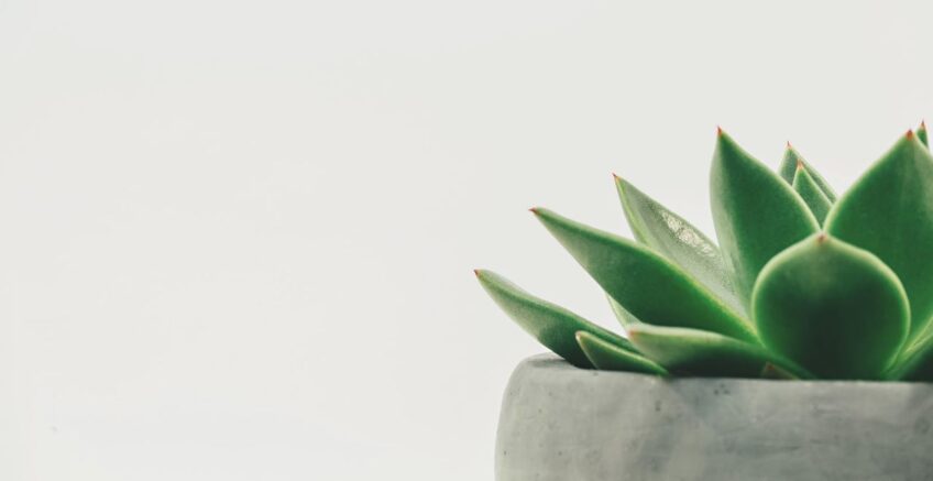 Key features for event website