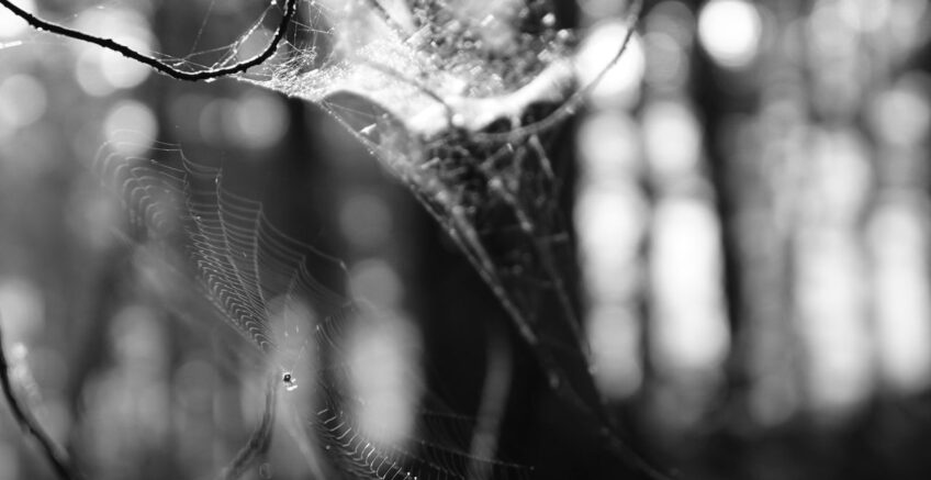 Visualmente atractiva página web