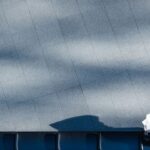 Essential elements for small business website