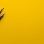 CMS and web hosting