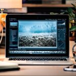 Backup in web hosting