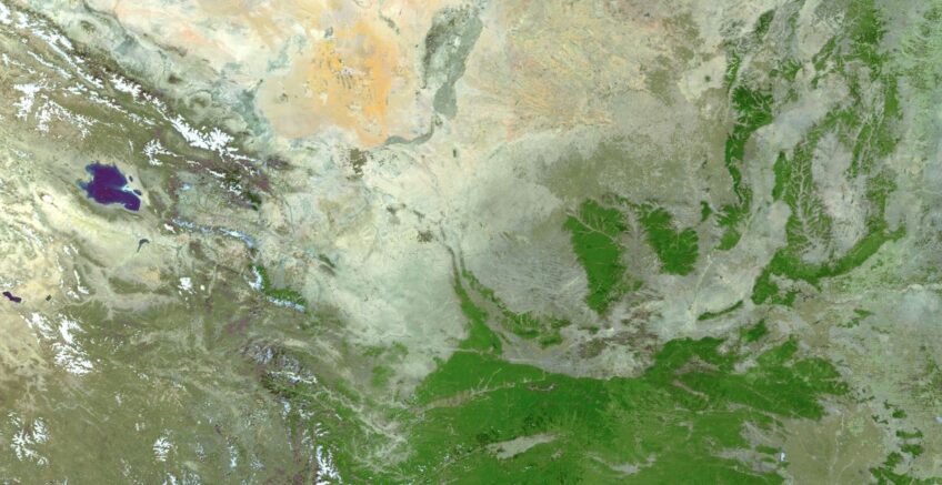 CMS image