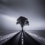 What should the image show?