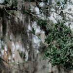 Tendencias en la Curación de Contenido SEO